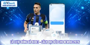 Cá cược bóng đá 8XBET - Cách đọc kèo chuẩn cho newbie 2026