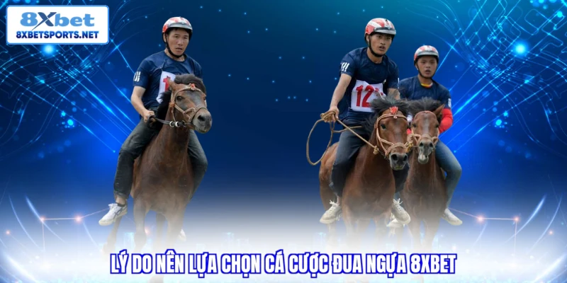 Cá Cược Đua Ngựa 8XBET - Sảnh Đua Đẳng Cấp Tỷ Lệ Kèo Cực Cao Lý do nên lựa chọn cá cược đua ngựa 8XBET