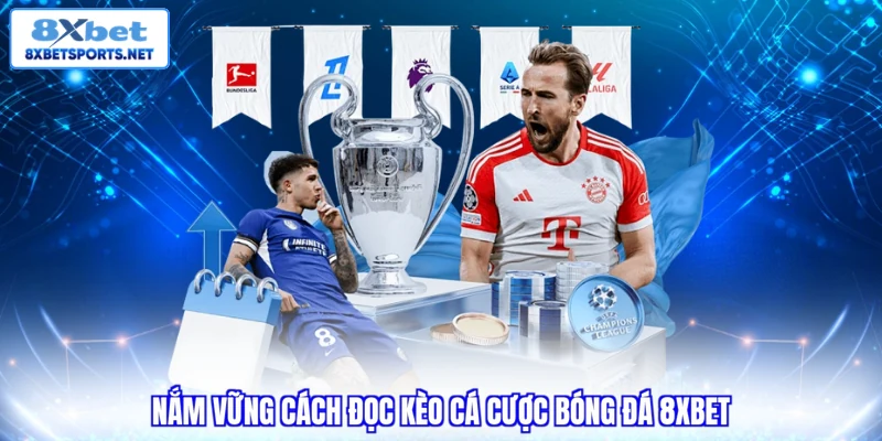 Cá Cược Bóng Đá 8XBET - Cách Đọc Kèo Cho Newbie 2026 Nắm vững cách đọc kèo cá cược bóng đá 8XBET