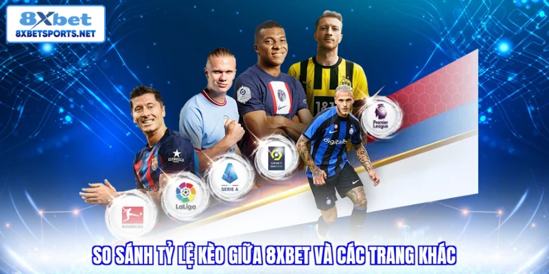 Trang Cá Độ Bóng Đá 8XBET - Lý Do 3 Triệu Người Tin Chọn So sánh tỷ lệ kèo giữa 8XBET và các trang khác
