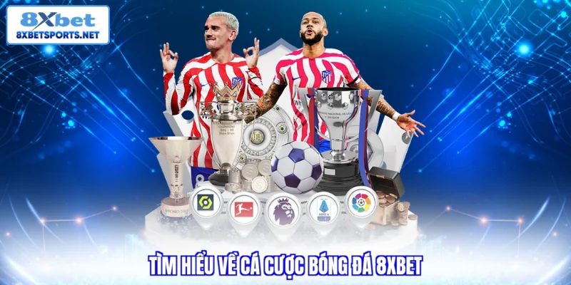 Cá Cược Bóng Đá 8XBET - Cách Đọc Kèo Cho Newbie 2026 Tìm hiểu về cá cược bóng đá 8XBET