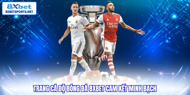 Trang Cá Độ Bóng Đá 8XBET - Lý Do 3 Triệu Người Tin Chọn Trang cá độ bóng đá 8XBET cam kết minh bạch